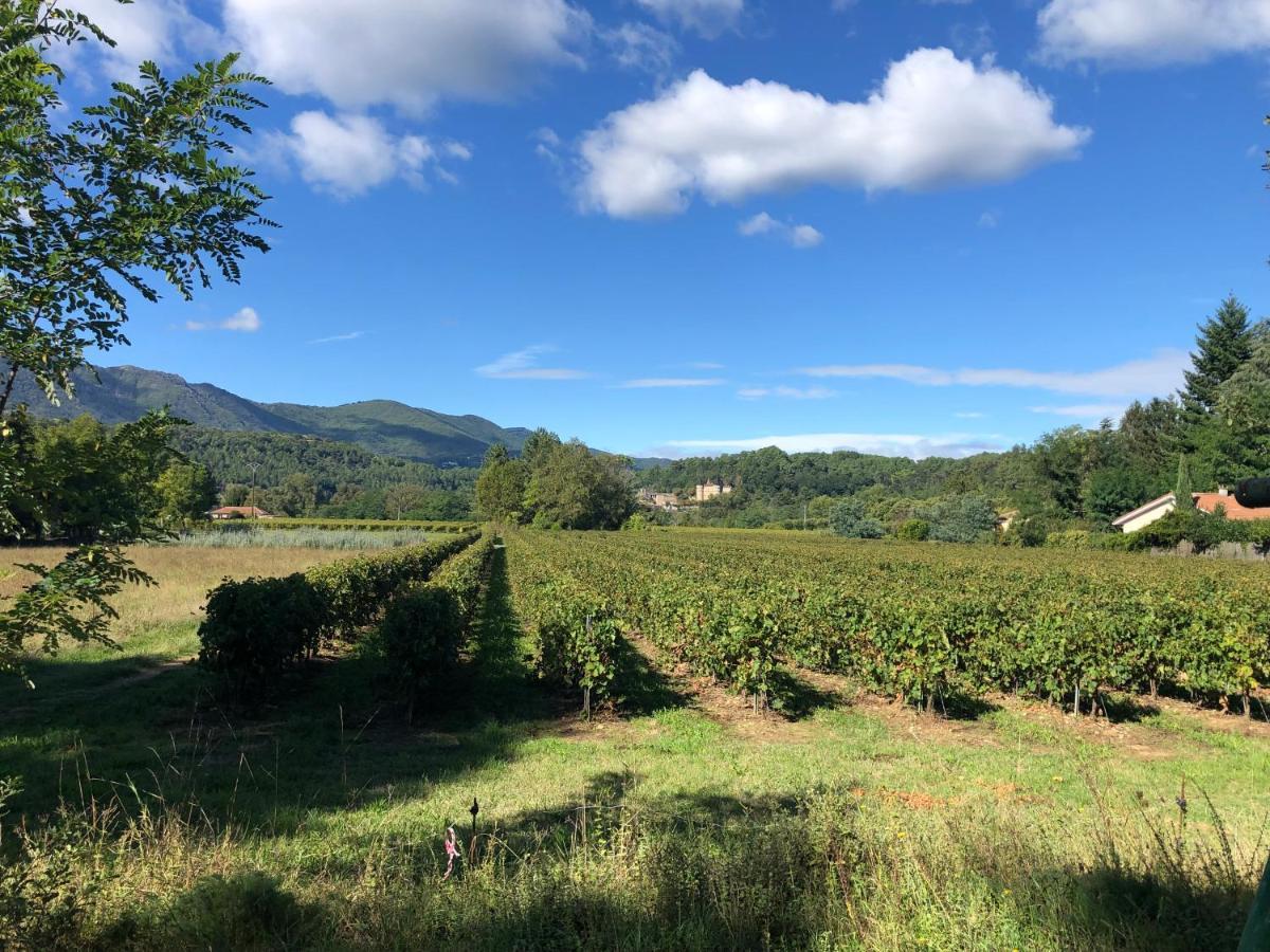 Terres De France - Le Domaine Des Vans Chambonas Экстерьер фото