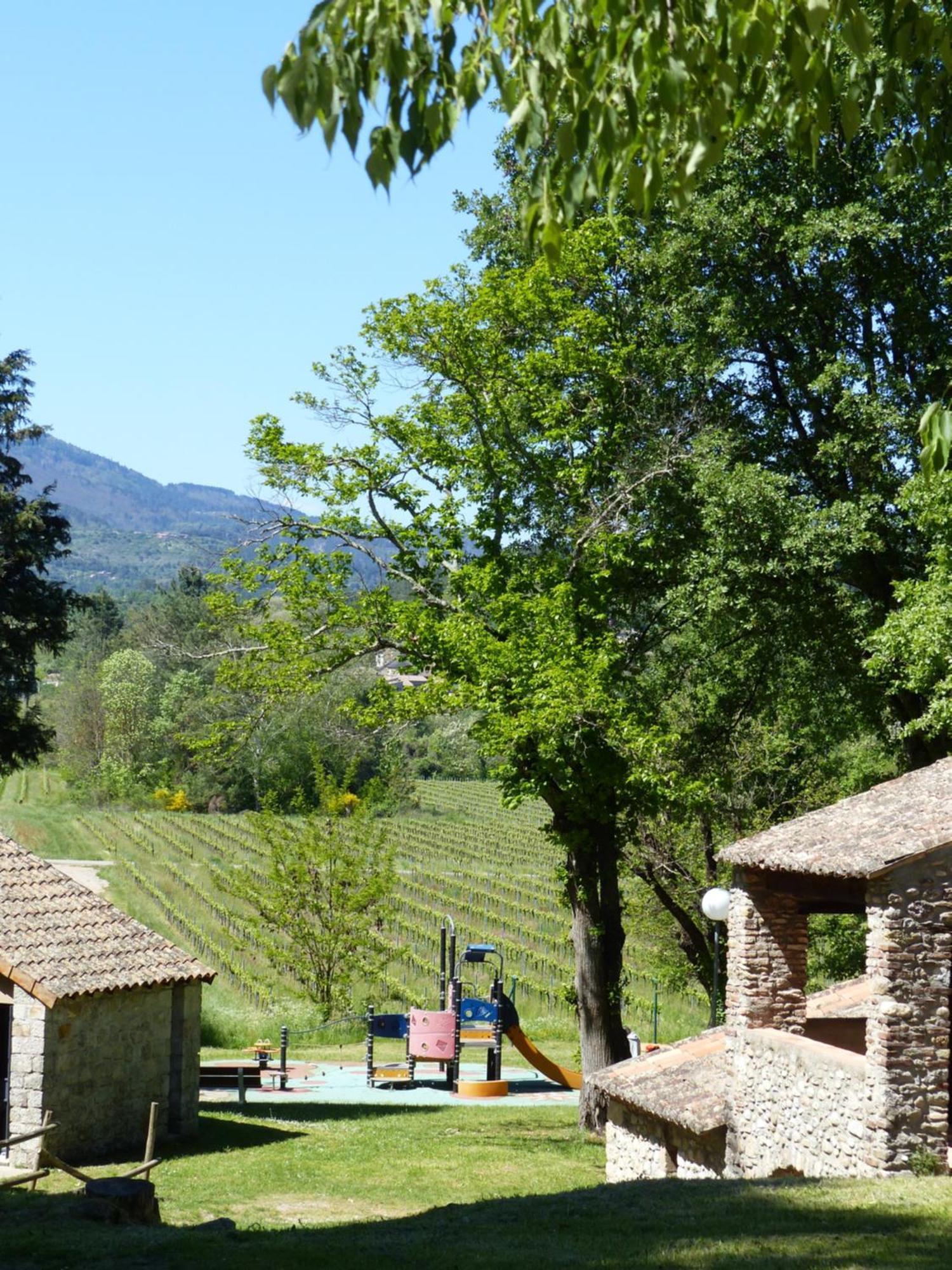Terres De France - Le Domaine Des Vans Chambonas Экстерьер фото
